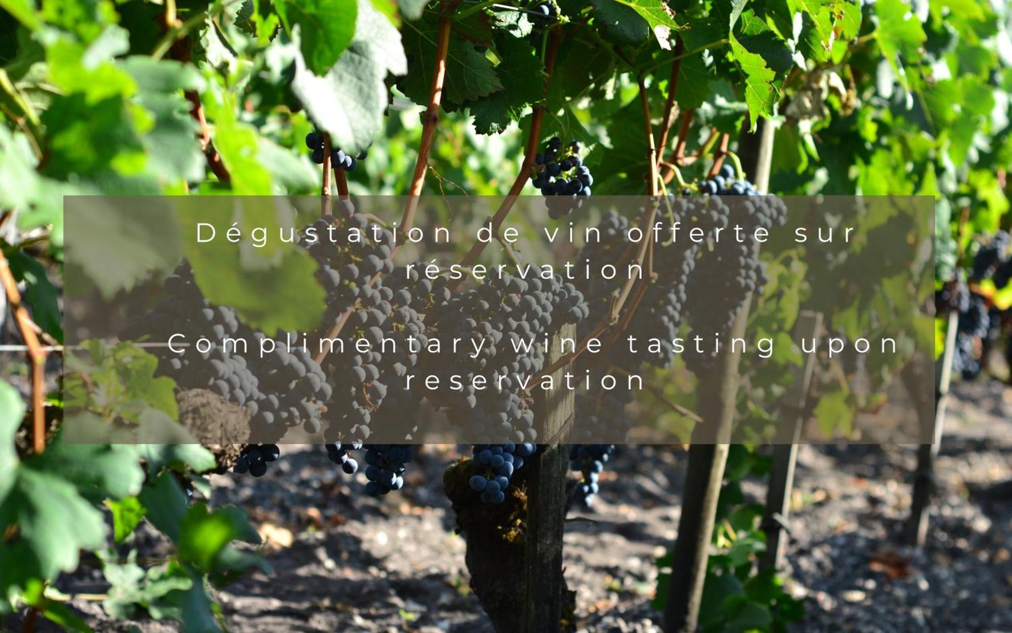 Chateau Leognan, Domaine Viticole - Proche Bordeaux Ngoại thất bức ảnh